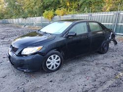 Toyota salvage cars for sale: 2010 Toyota Corolla Base