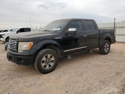 2012 Ford F150 Supercrew en venta en Andrews, TX