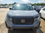 2024 Honda Passport Black Edition