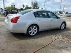 2006 Nissan Maxima SE