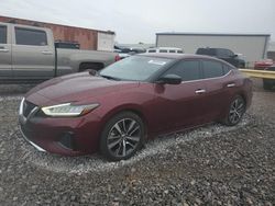 Nissan salvage cars for sale: 2019 Nissan Maxima S