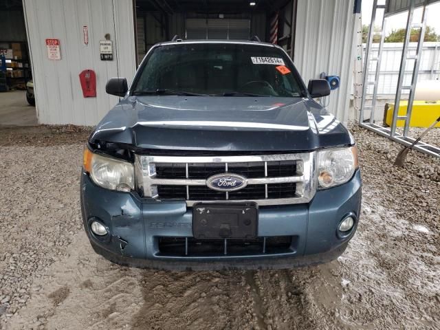 2011 Ford Escape XLT