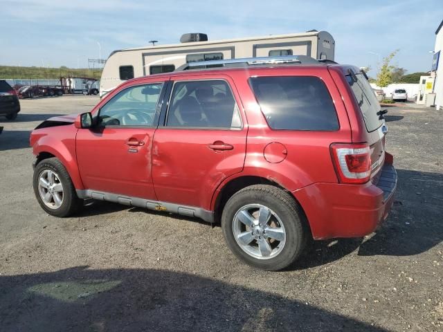 2012 Ford Escape Limited