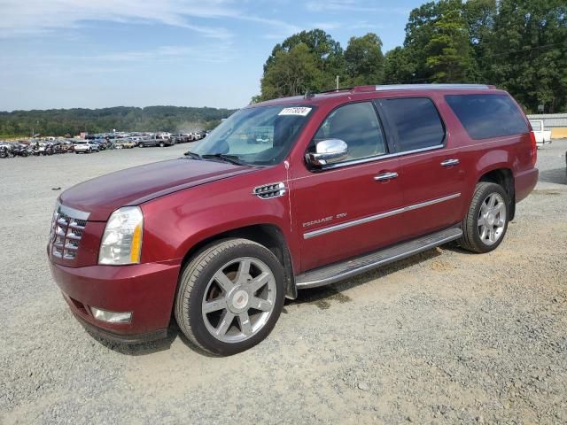 2011 Cadillac Escalade ESV Luxury