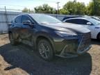 2023 Lexus NX 350H