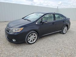 Salvage cars for sale at Arcadia, FL auction: 2010 Lexus HS 250H