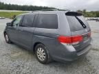 2010 Honda Odyssey EXL