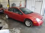 2005 Dodge Neon SXT