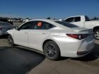 2023 Lexus ES 300H Base