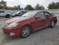 Lexus Vehiculos salvage en venta: 2010 Lexus ES 350