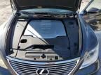 2008 Lexus LS 460