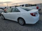 2013 Toyota Camry Hybrid