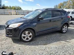 Ford salvage cars for sale: 2014 Ford Escape SE