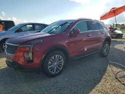 2024 Cadillac XT4 Premium Luxury en venta en Arcadia, FL