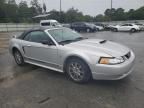 2001 Ford Mustang