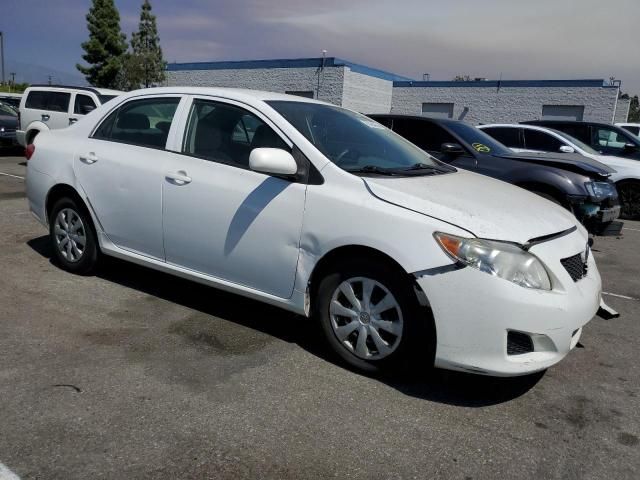 2010 Toyota Corolla Base