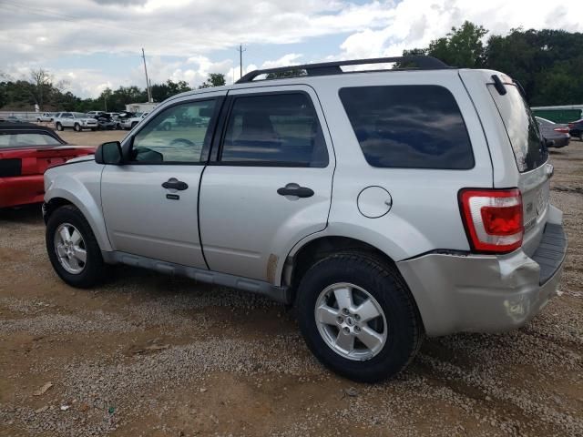 2009 Ford Escape XLT