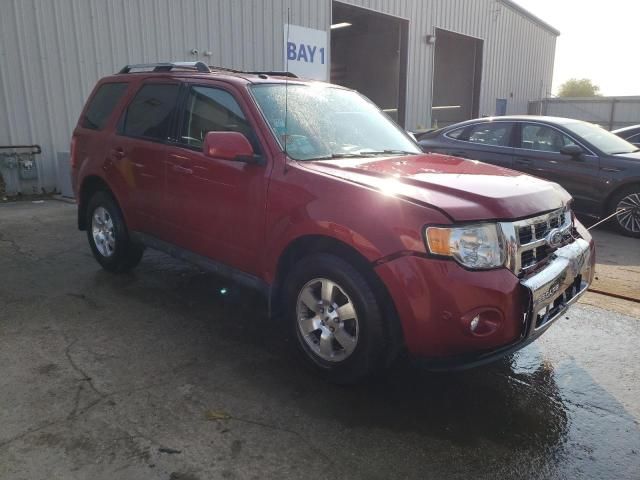 2011 Ford Escape Limited