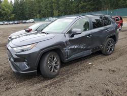 Salvage cars for sale at Graham, WA auction: 2023 Toyota Rav4 XLE Premium