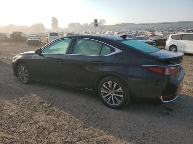 2020 Lexus ES 300H