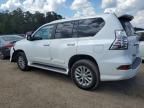 2017 Lexus GX 460