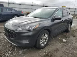 Salvage Cars with No Bids Yet For Sale at auction: 2020 Ford Escape SE