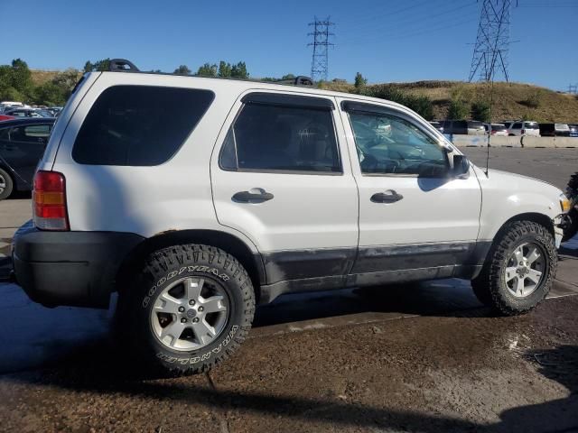 2005 Ford Escape XLT