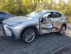 Lexus Vehiculos salvage en venta: 2023 Lexus NX 350H