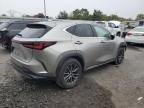 2023 Lexus NX 350