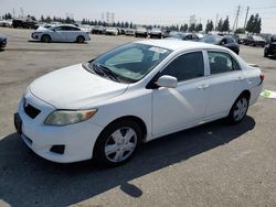 Toyota salvage cars for sale: 2010 Toyota Corolla Base