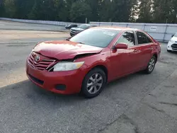 Toyota salvage cars for sale: 2010 Toyota Camry Base