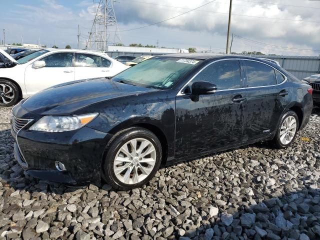 2013 Lexus ES 300H