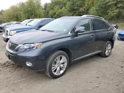 Salvage cars for sale at Marlboro, NY auction: 2010 Lexus RX 450H