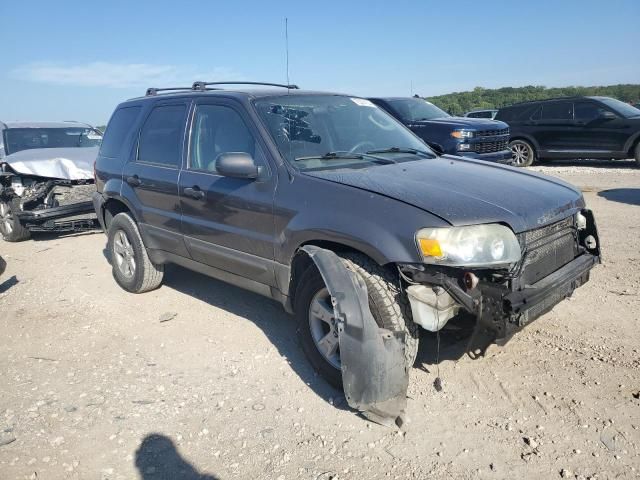 2006 Ford Escape XLT