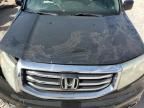 2015 Honda Pilot EXL