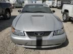 1999 Ford Mustang