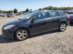 Salvage cars for sale at Hillsborough, NJ auction: 2014 Ford Focus SE