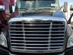 2014 Freightliner Cascadia 113