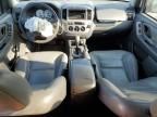 2005 Ford Escape XLT