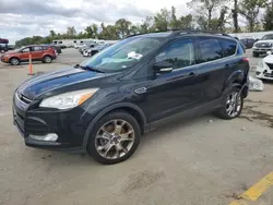 Salvage cars for sale at Bridgeton, MO auction: 2013 Ford Escape SEL