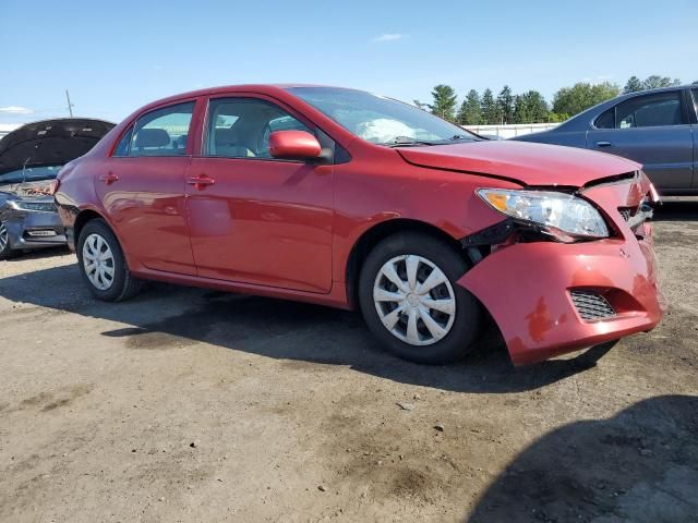 2010 Toyota Corolla Base