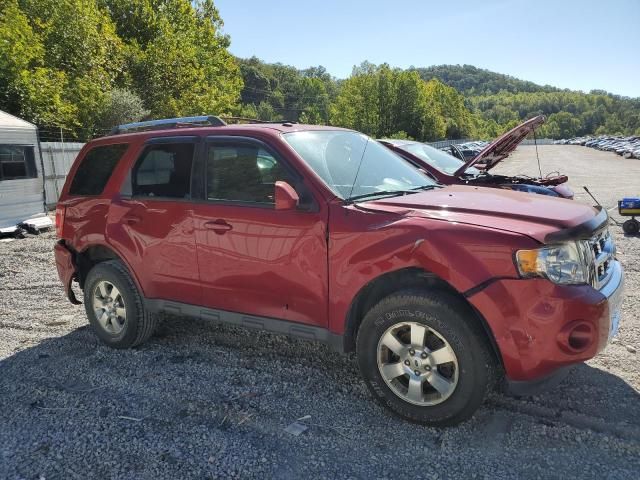 2011 Ford Escape Limited