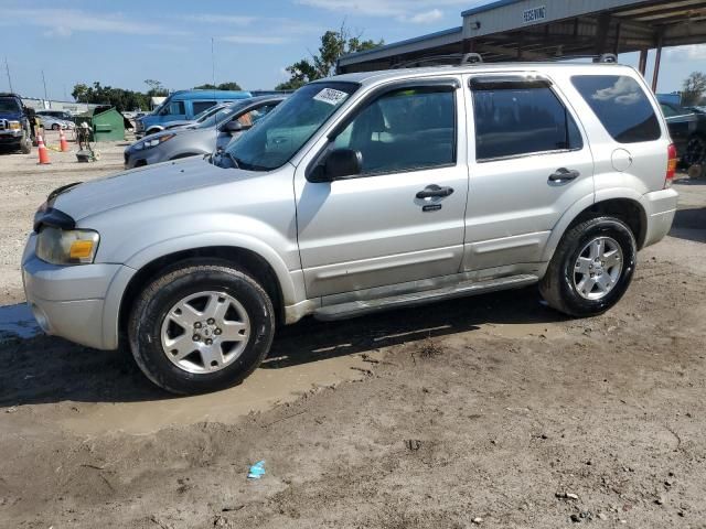 2007 Ford Escape XLT