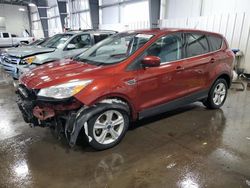 Salvage cars for sale at Ham Lake, MN auction: 2016 Ford Escape SE