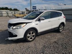 Ford salvage cars for sale: 2014 Ford Escape SE