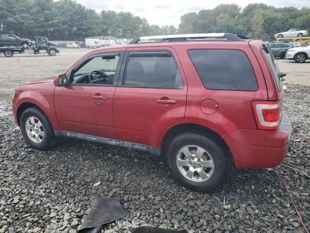 2011 Ford Escape Limited