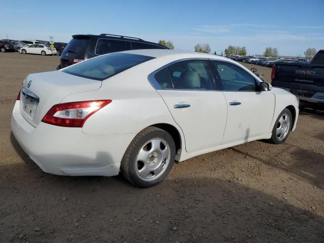 2009 Nissan Maxima S