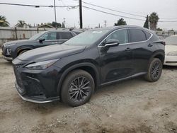 2024 Lexus NX 250 Base en venta en Los Angeles, CA