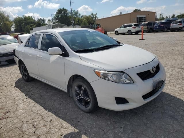 2010 Toyota Corolla Base