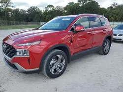 2023 Hyundai Santa FE SEL en venta en Fort Pierce, FL